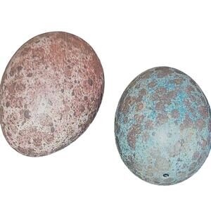 Vintage Stained Painted Real Blown-Out Egg Pair